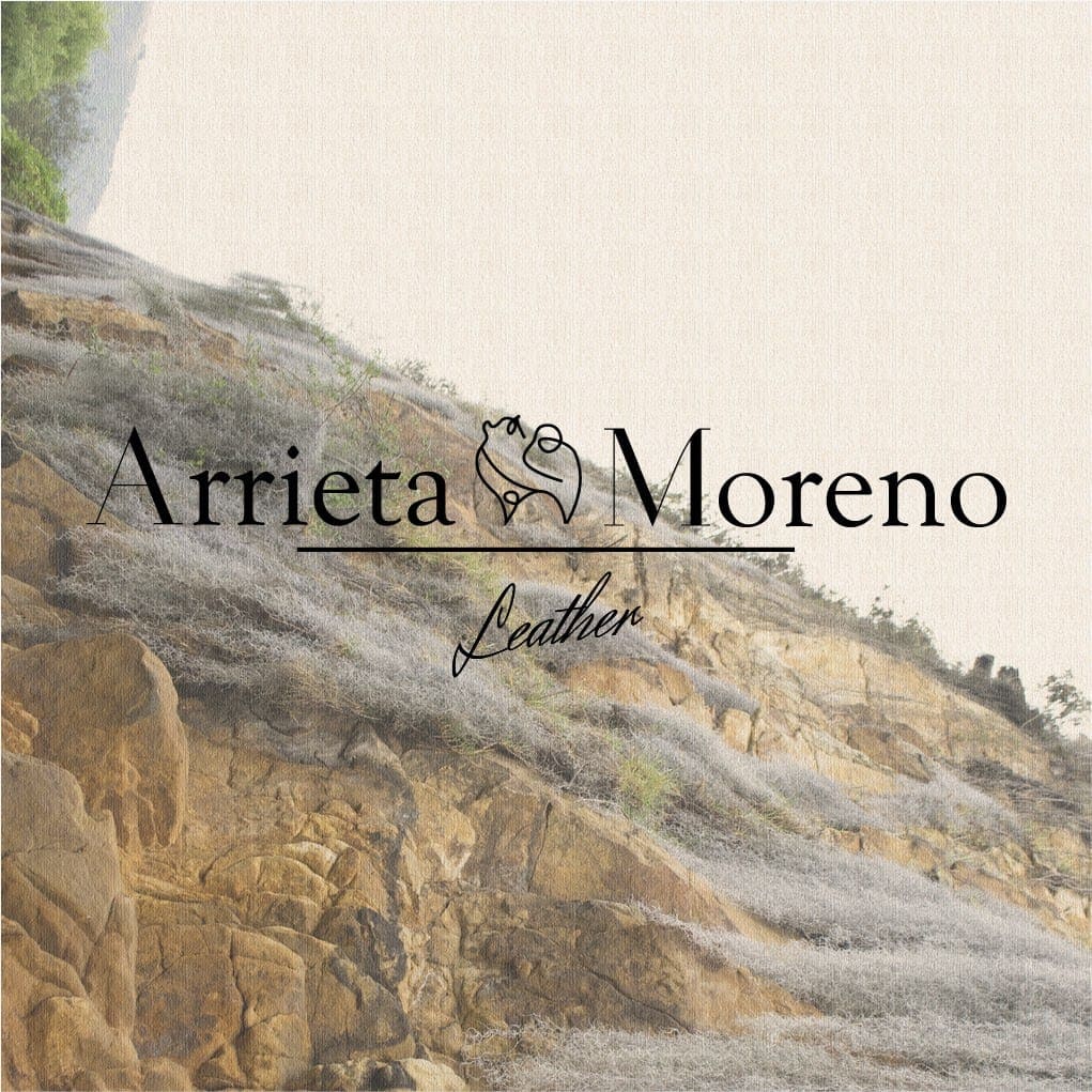 Arrieta Moreno