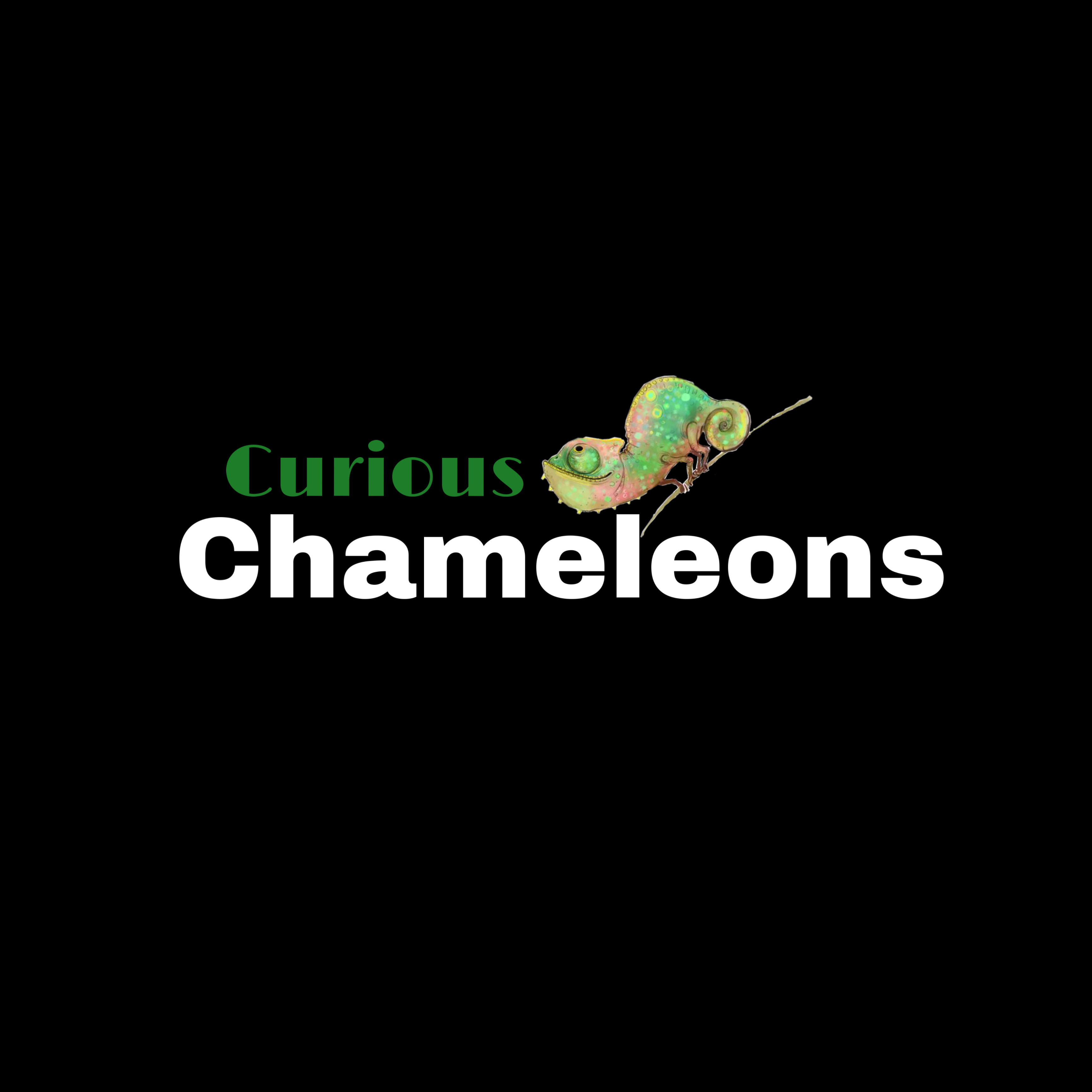 Curious Chameleons