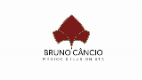 Curso de mágica com baralho por Bruno Câncio