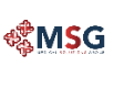 Grupo MSG S.A. DE C.V.