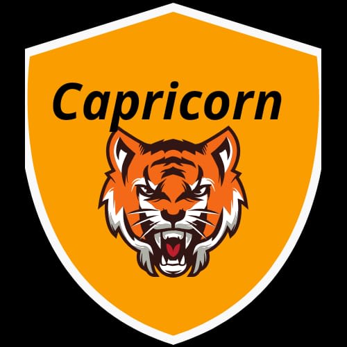 Capricorn Inovation