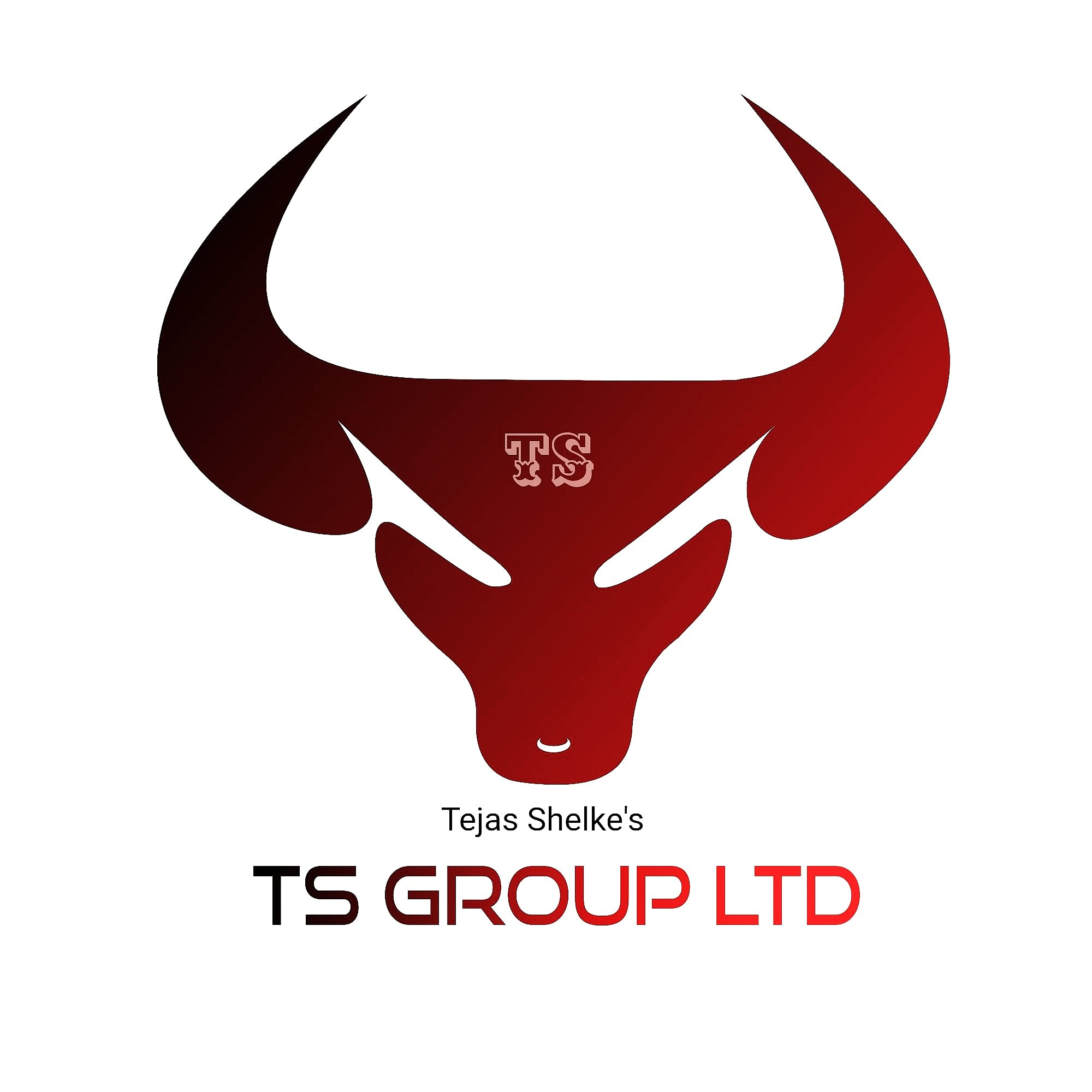 TS Group