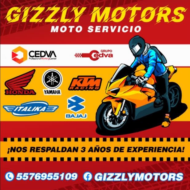Grizzly Motor y APexMotorpartes