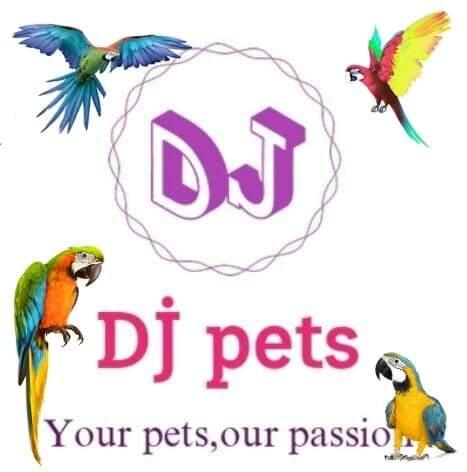 DJ Pets