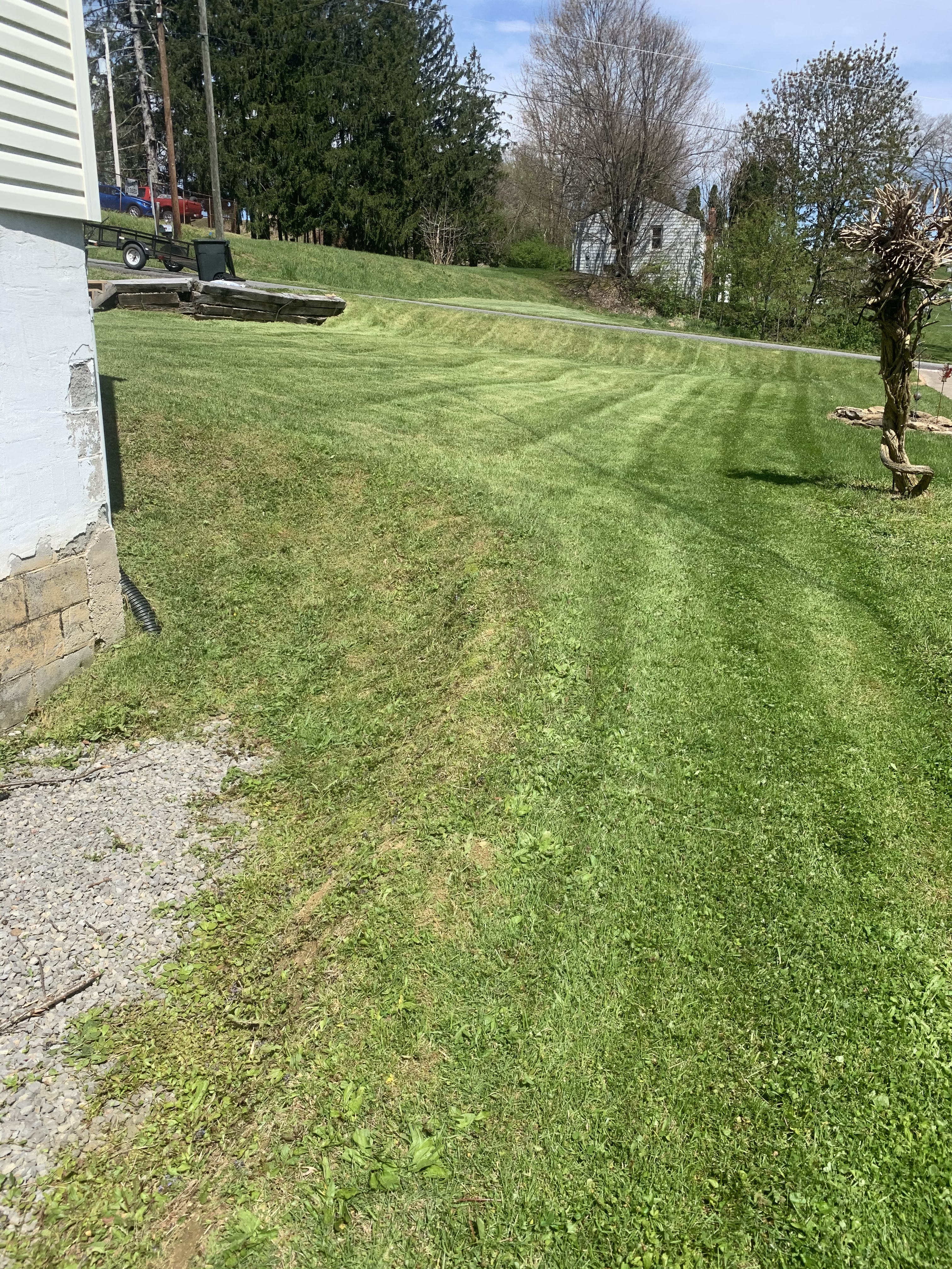 First-Rate Lawn Expert in Morgantown, WV