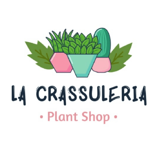 La Crassuleria