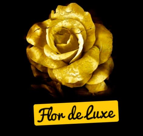 De Luxe Chile