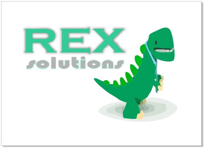 REX Solutions