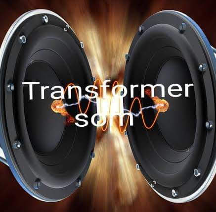 Transformer Som
