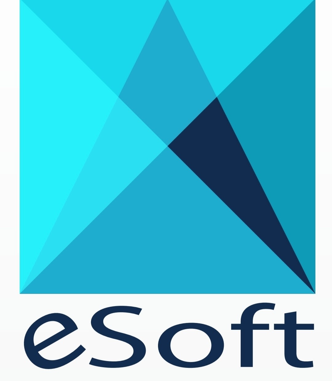 Esoft Enterprise