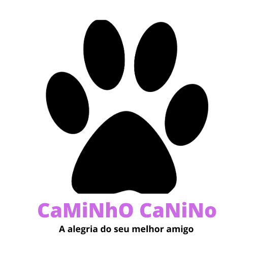 CaMiNhO CaNiNo