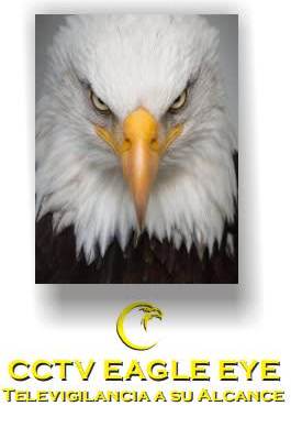 Cctv Eagle Eye Televigilancia a Su Alcance