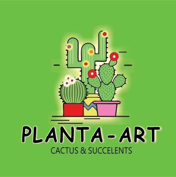 Plant - Art