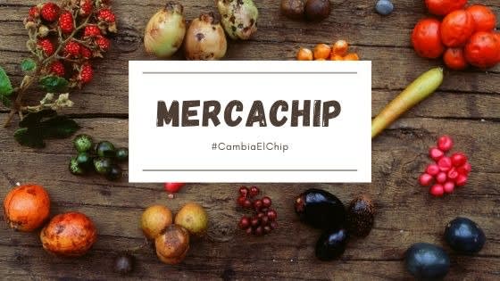 Mercachip
