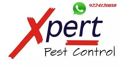 Xpert Pest Control