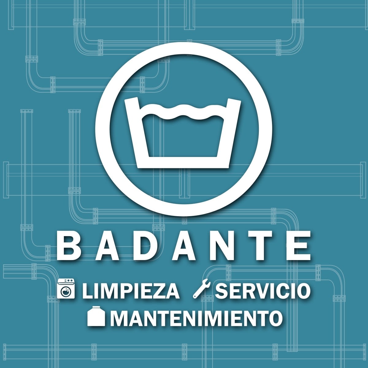 Badante Service