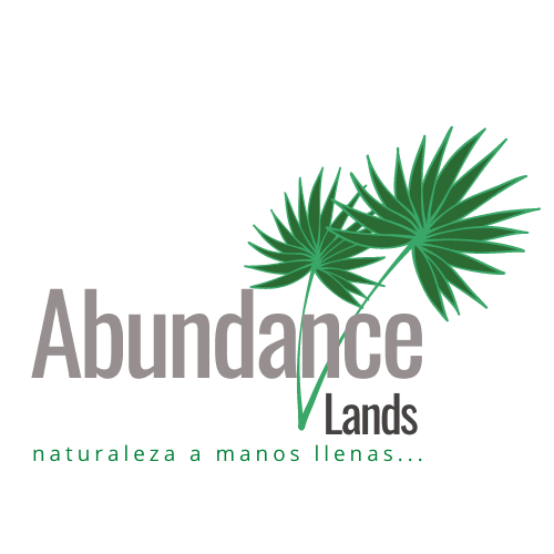 Abundance Lands
