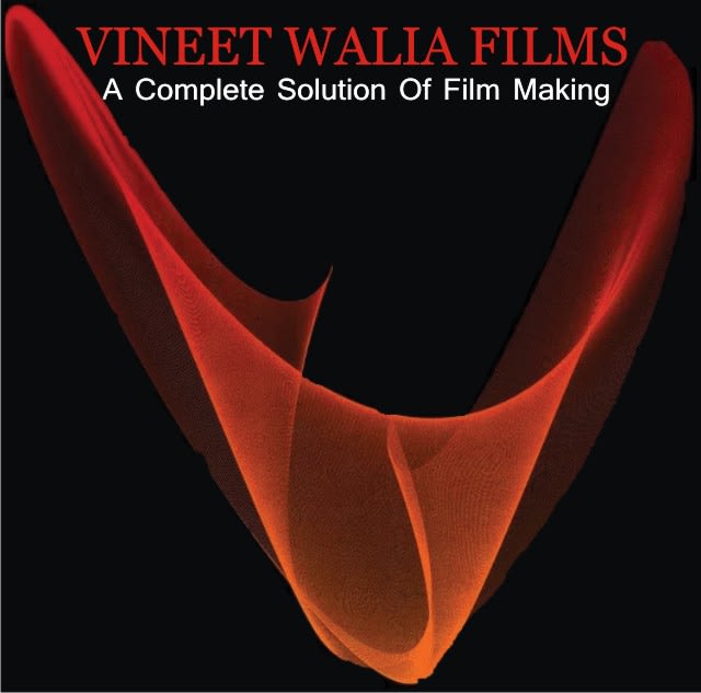Vineet Walia Films