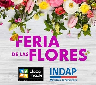 Vivero Madroño