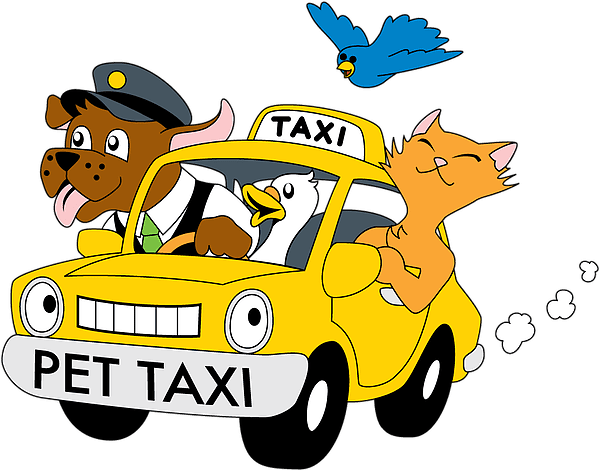 Pet taxi near store me