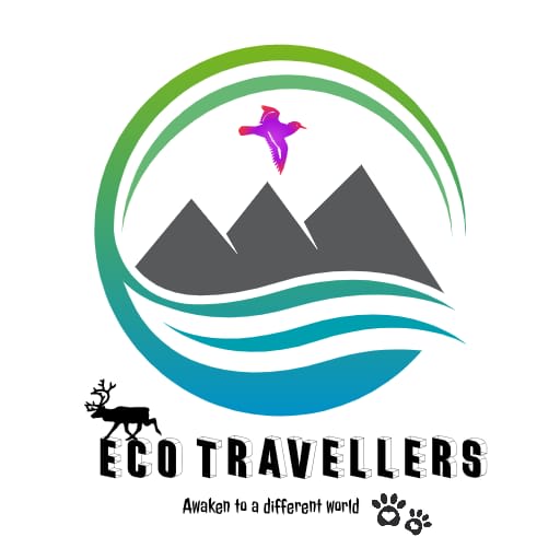 Eco Travelers