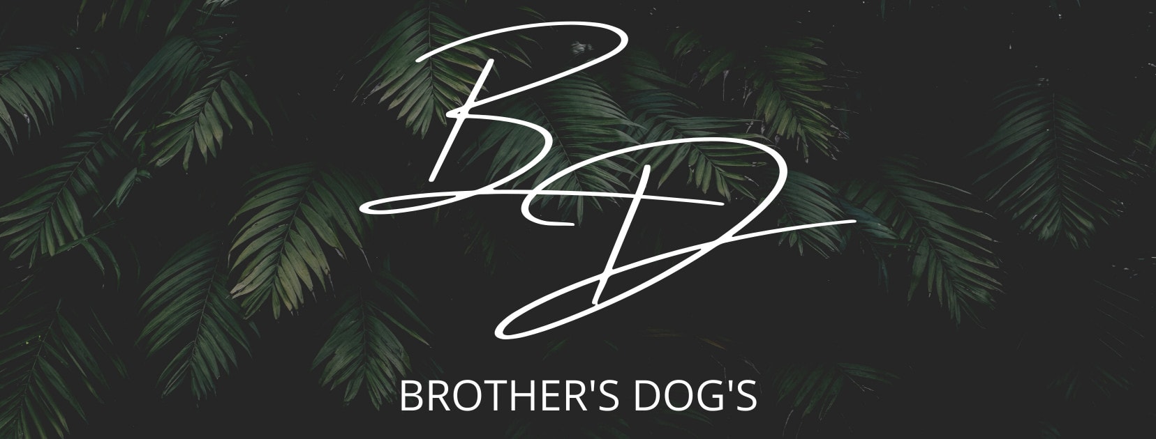 Brother's Dog's