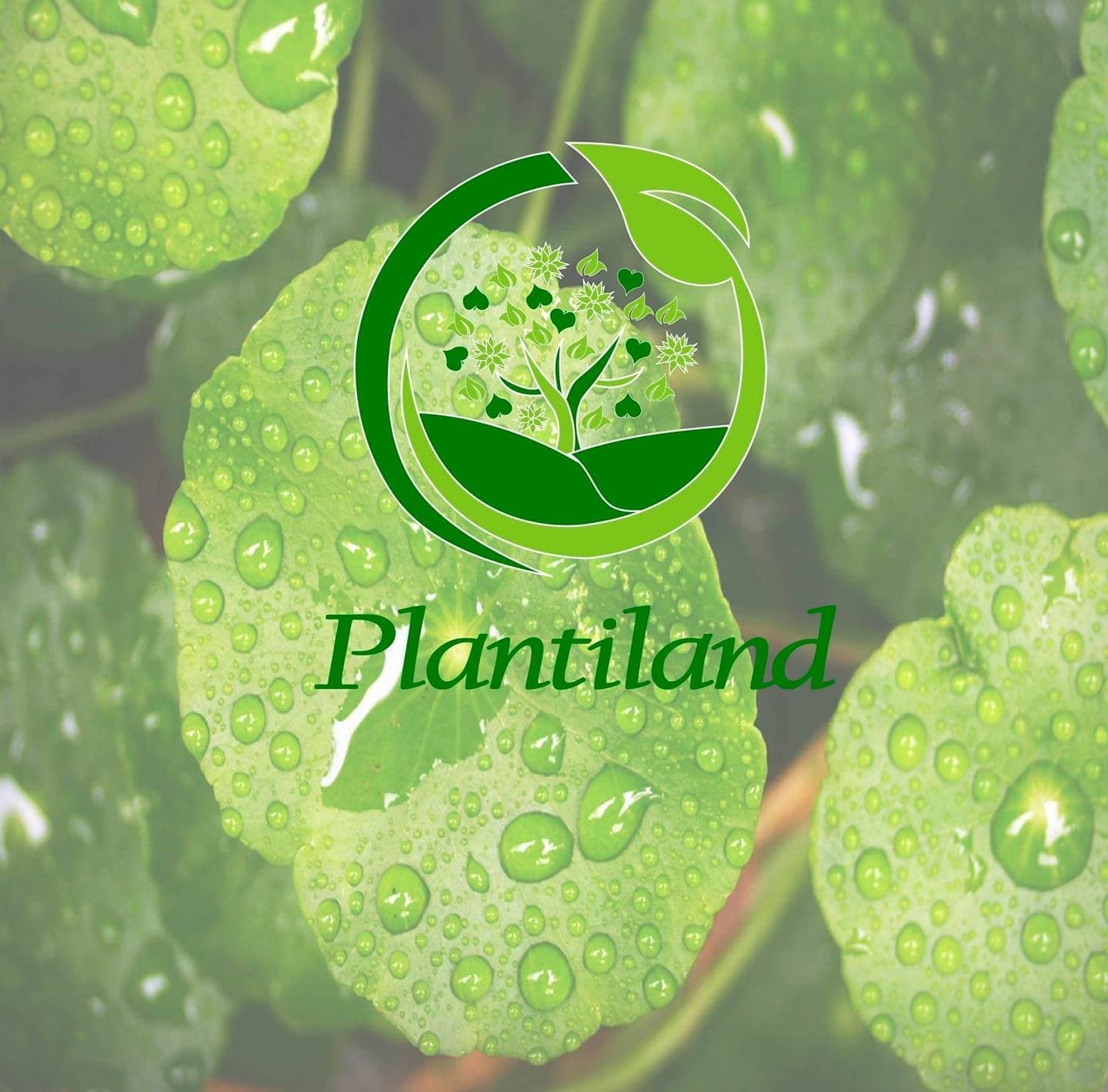 Plantiland