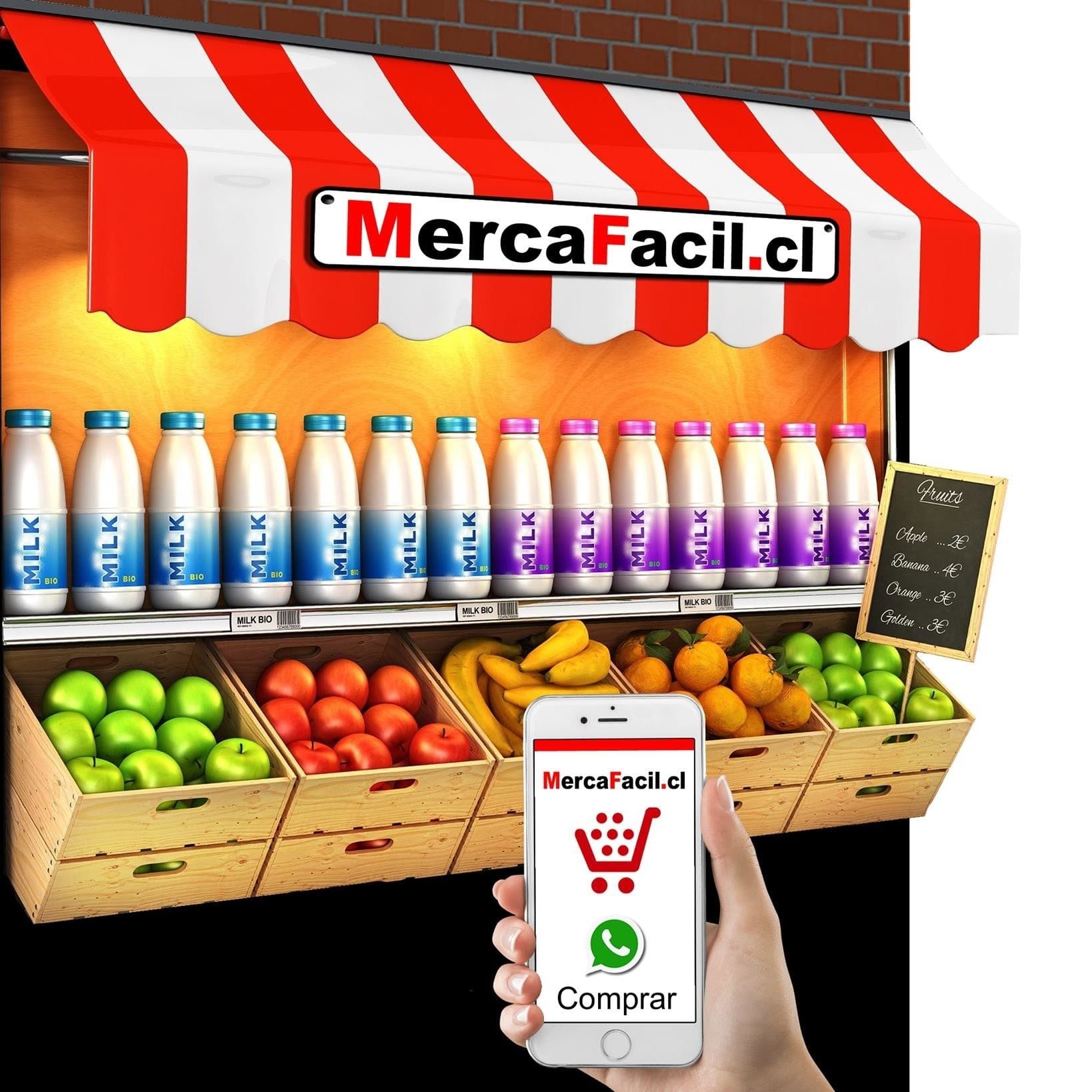 Mercafacil Online