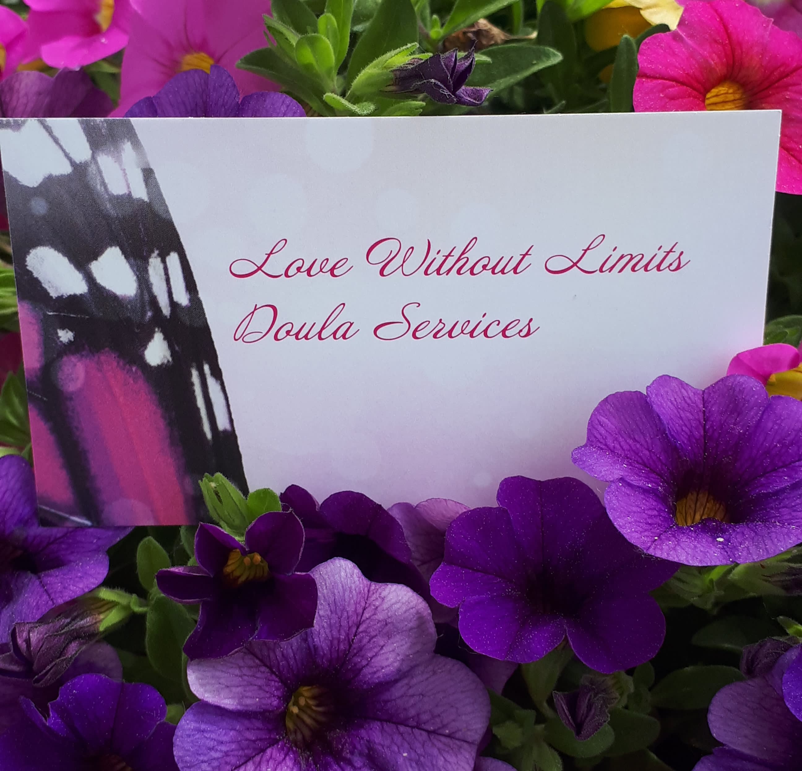 Love Without Limits Doula Services