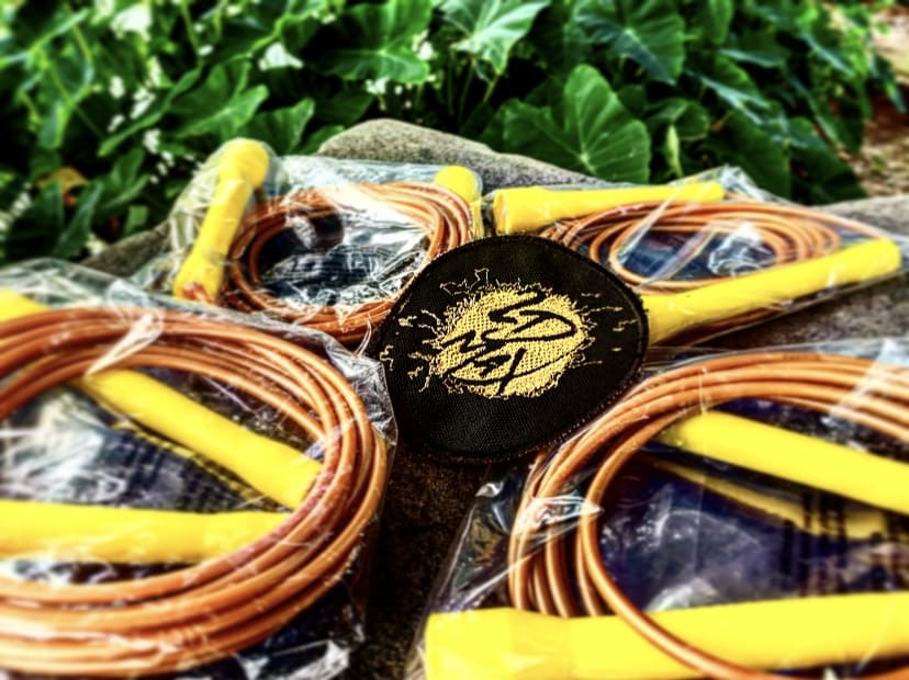 2DMaX Electric Training Ropes Products 2D Max Fitco Personal