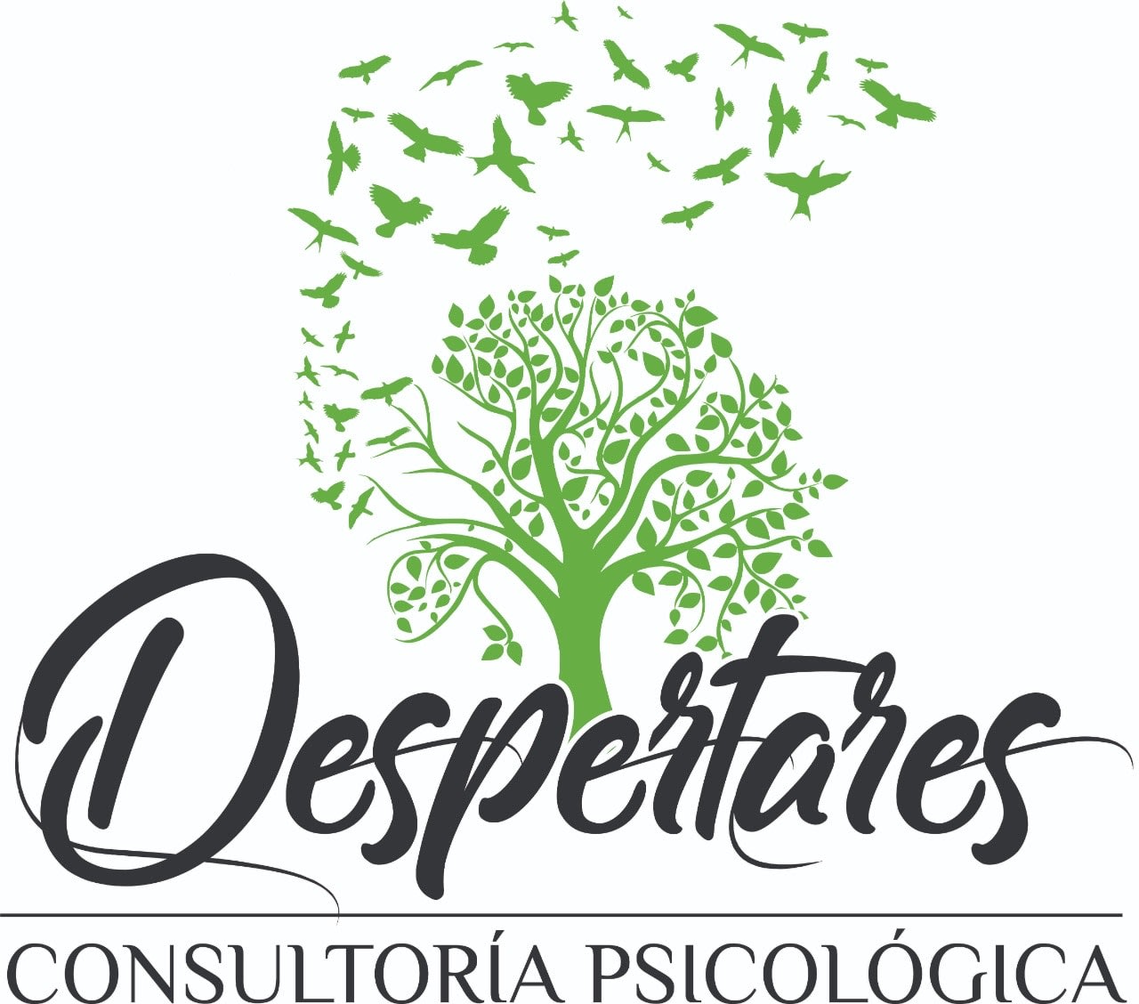 Consultoría Despertares