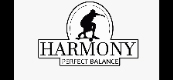 Harmony Balanceboard