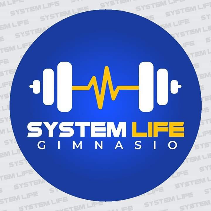 Systemlife