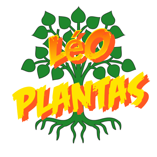 Léo Plantas