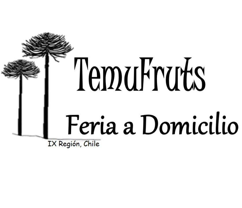 Feria a Domicilio TemuFruts