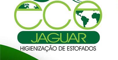 Eco Jaguar