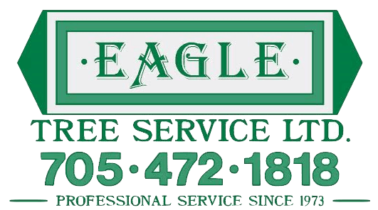 Eagle Tree Services