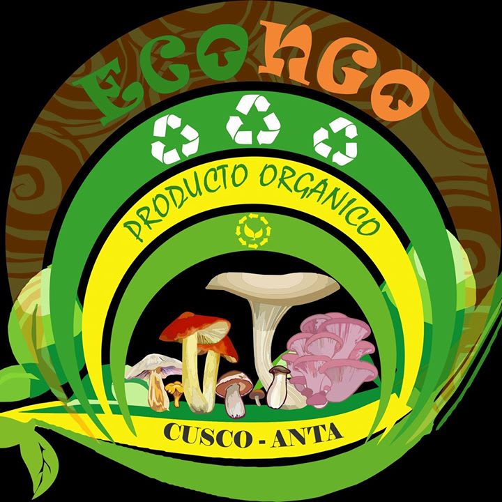 Econgo