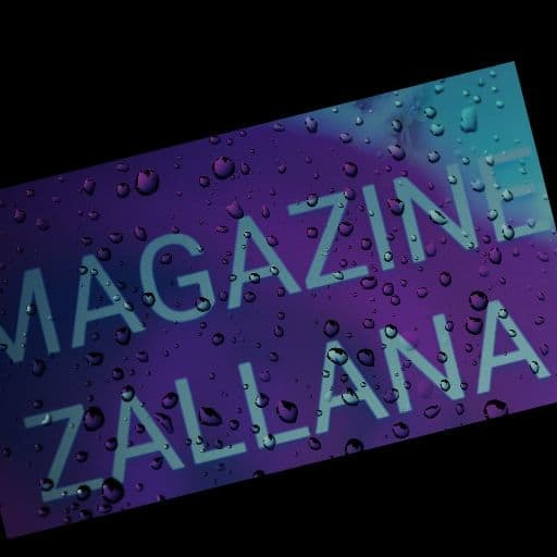 Magazine Zallana