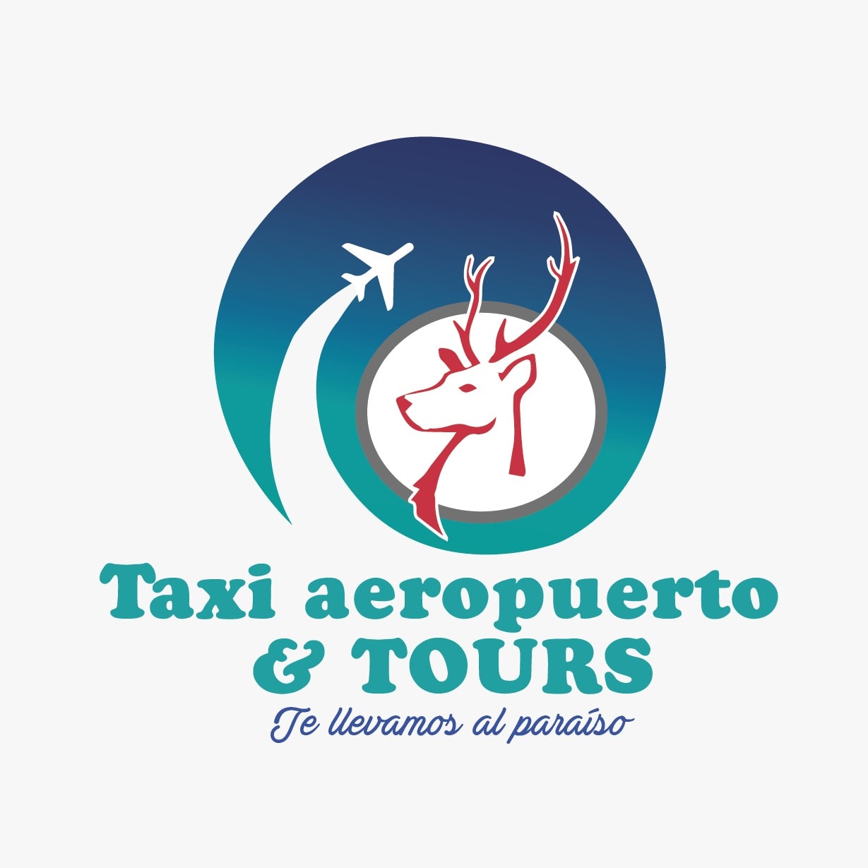 Taxi Aeropuerto & Tours Playa