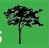 Lee's Tree And Gardening Services