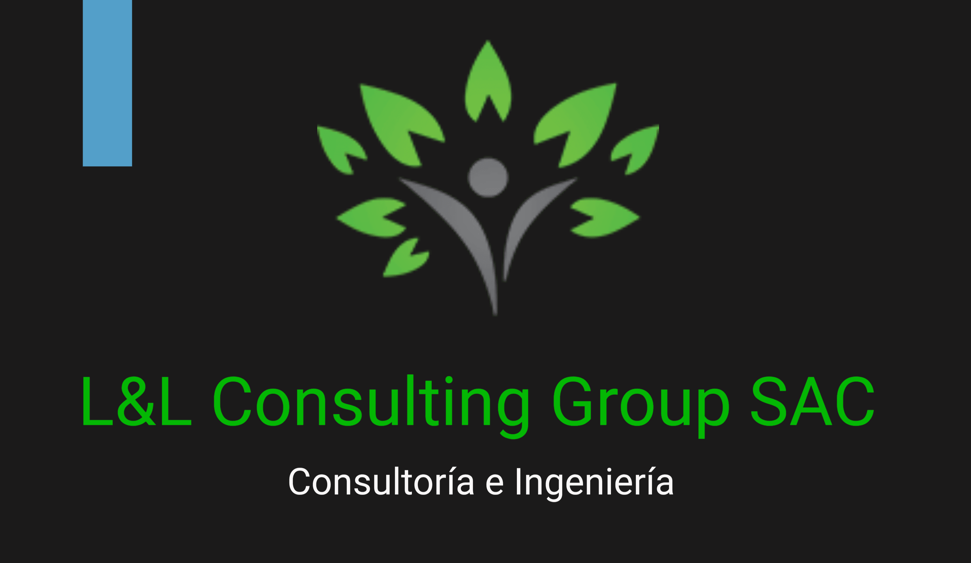 L&L Consulting Group SAC