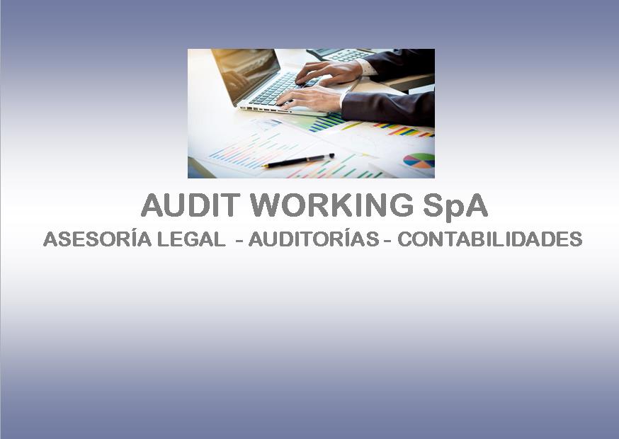 AUDIT WORKING SpA