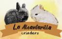 Criadero La Alcantarilla