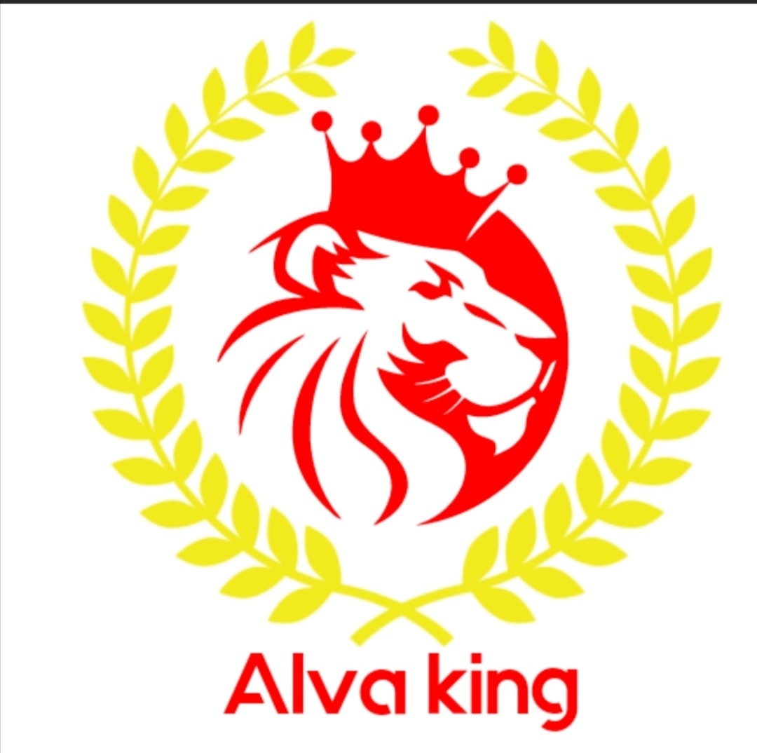 Ropas Interiores Alva