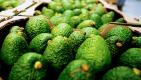 Productos Premiun palta fuerte