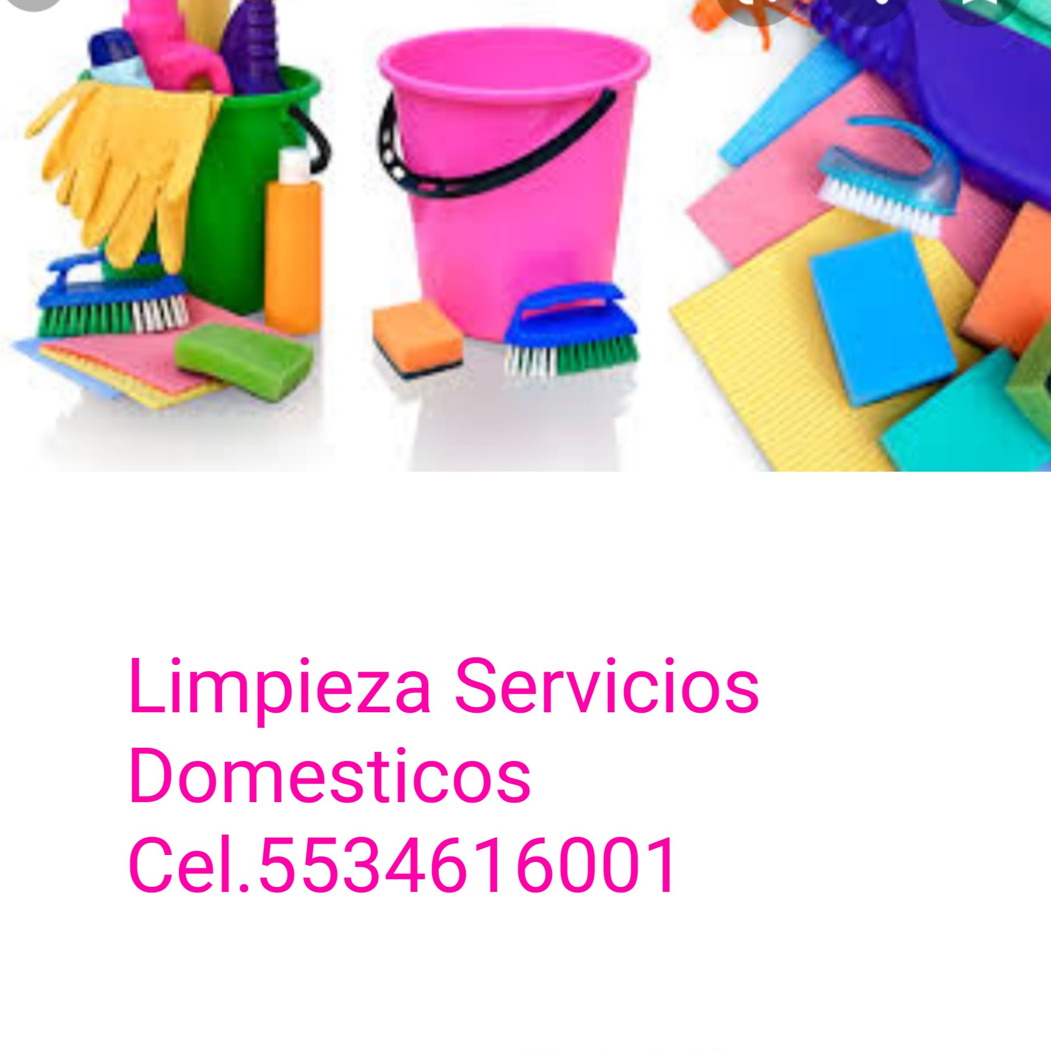Agencia de Servicios Domésticos 5534616001
