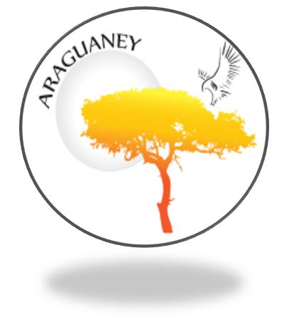 Servicios Integrales Araguaney