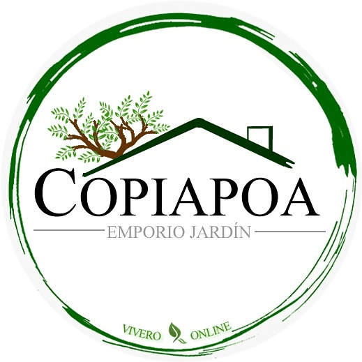 Copiapoa