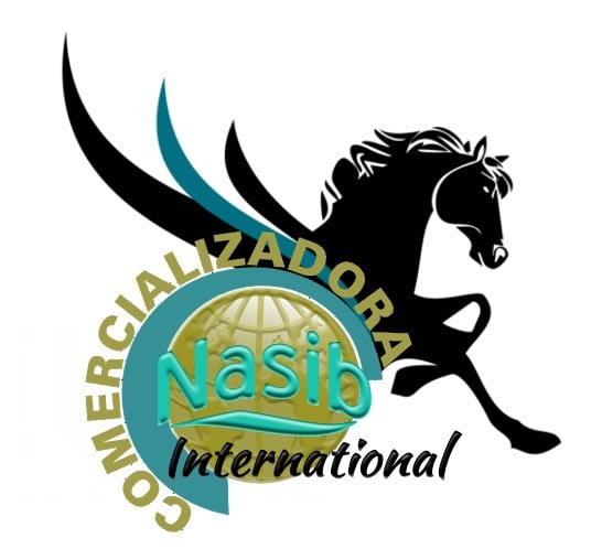 Comercializadora Nasib